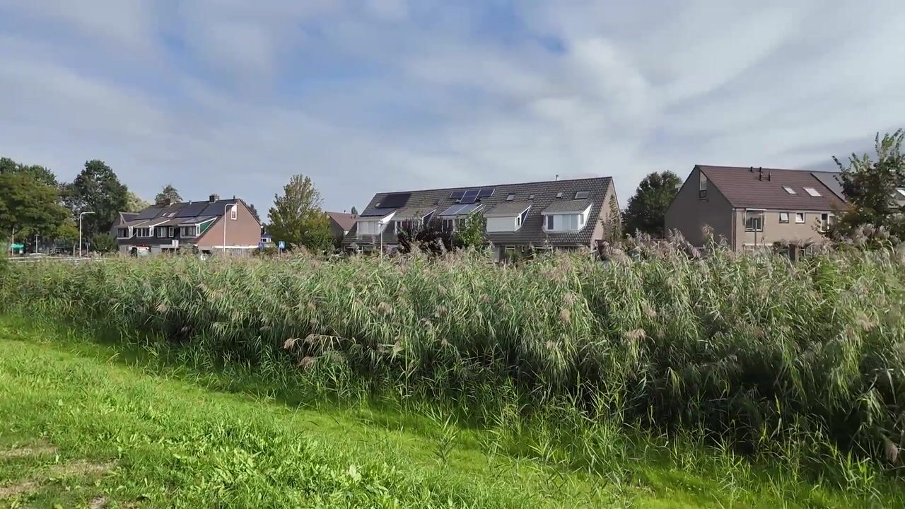 Video van Veldesdoorn 9
