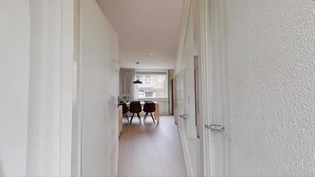 Video of Zwanebloem 29