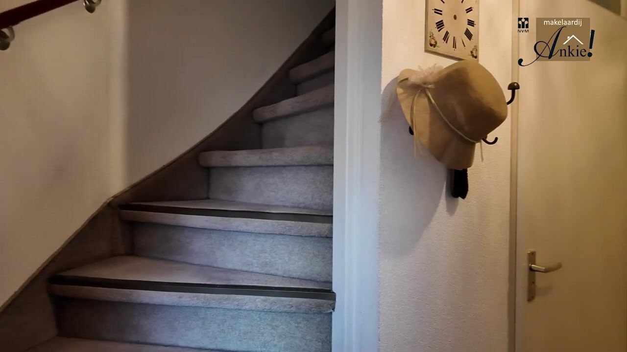 Video of Lage Lei 19