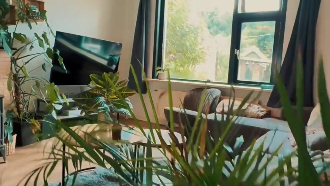 Video of Weststraat 4