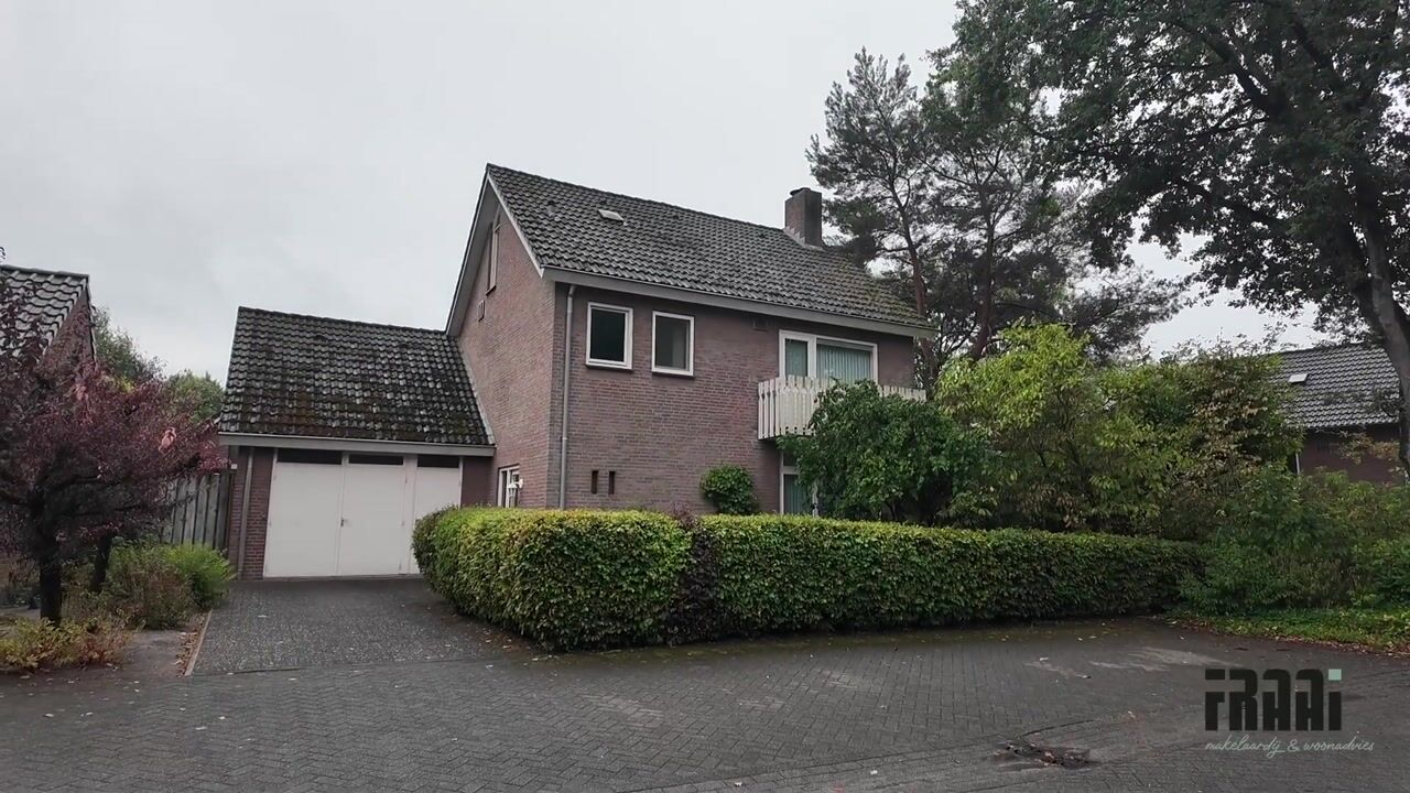 Video of De Raemecker 5