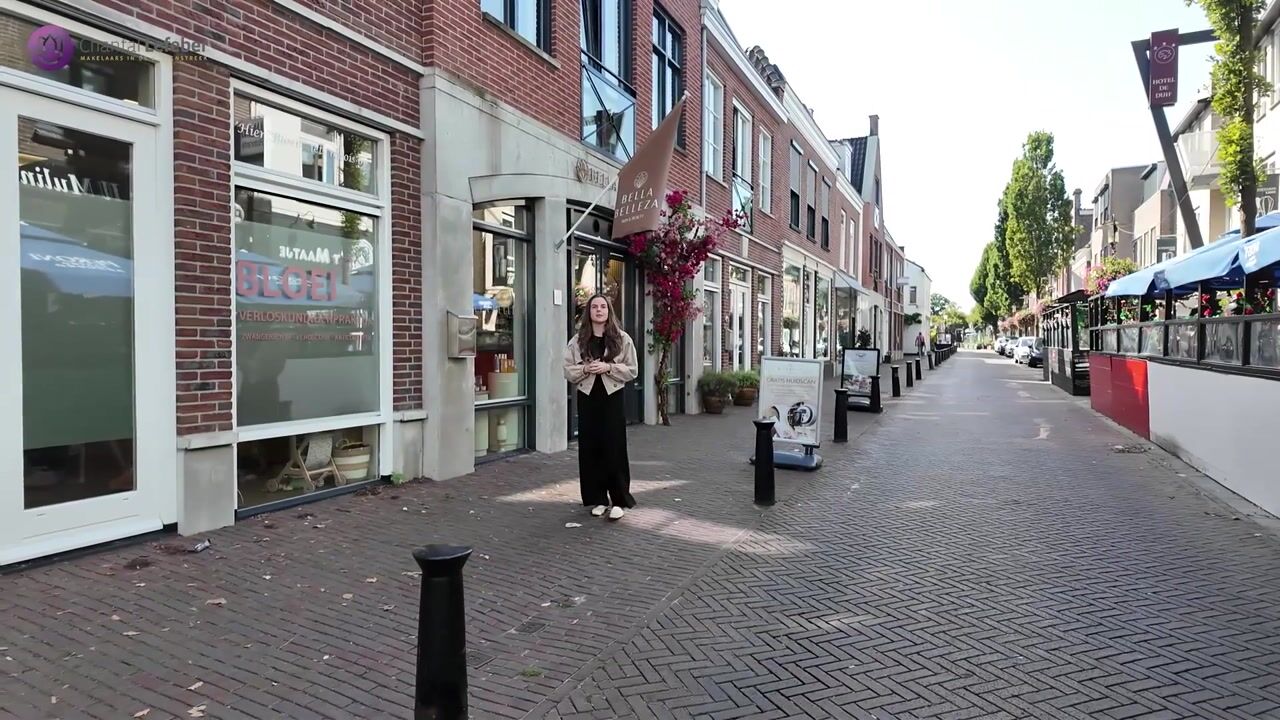 Video van Heereweg 185-S