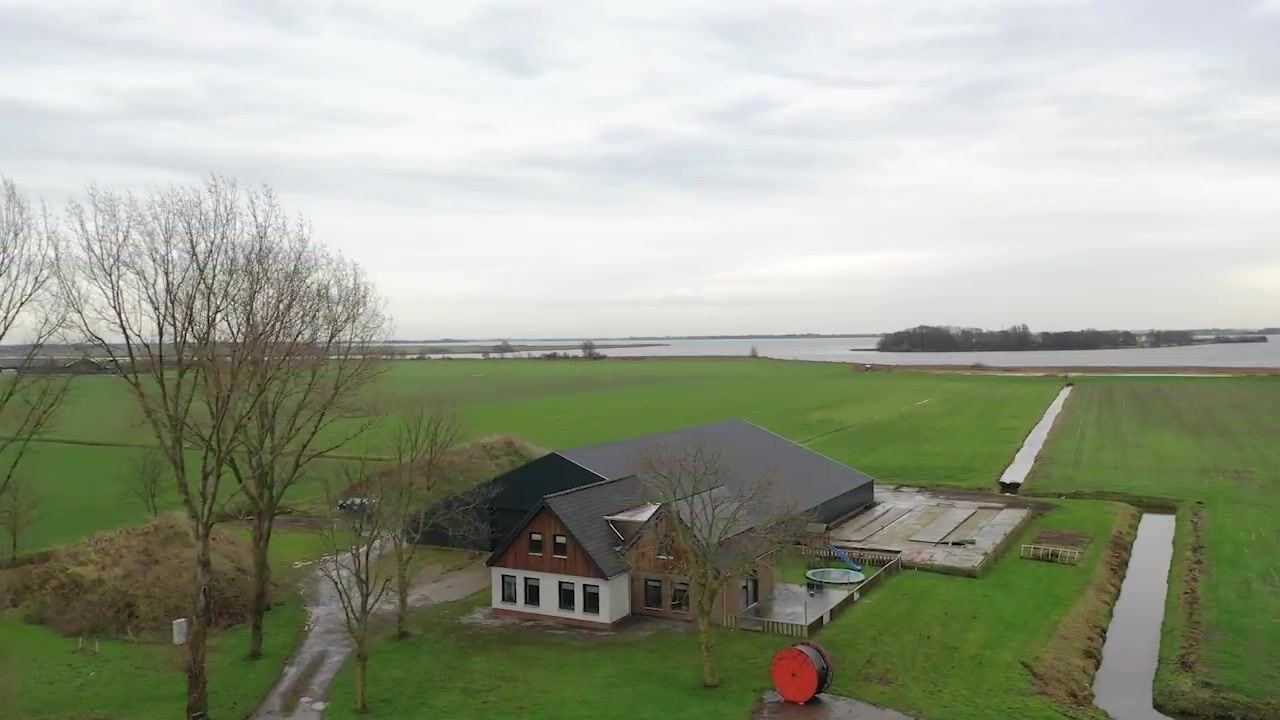 Video van Koaidyk 13