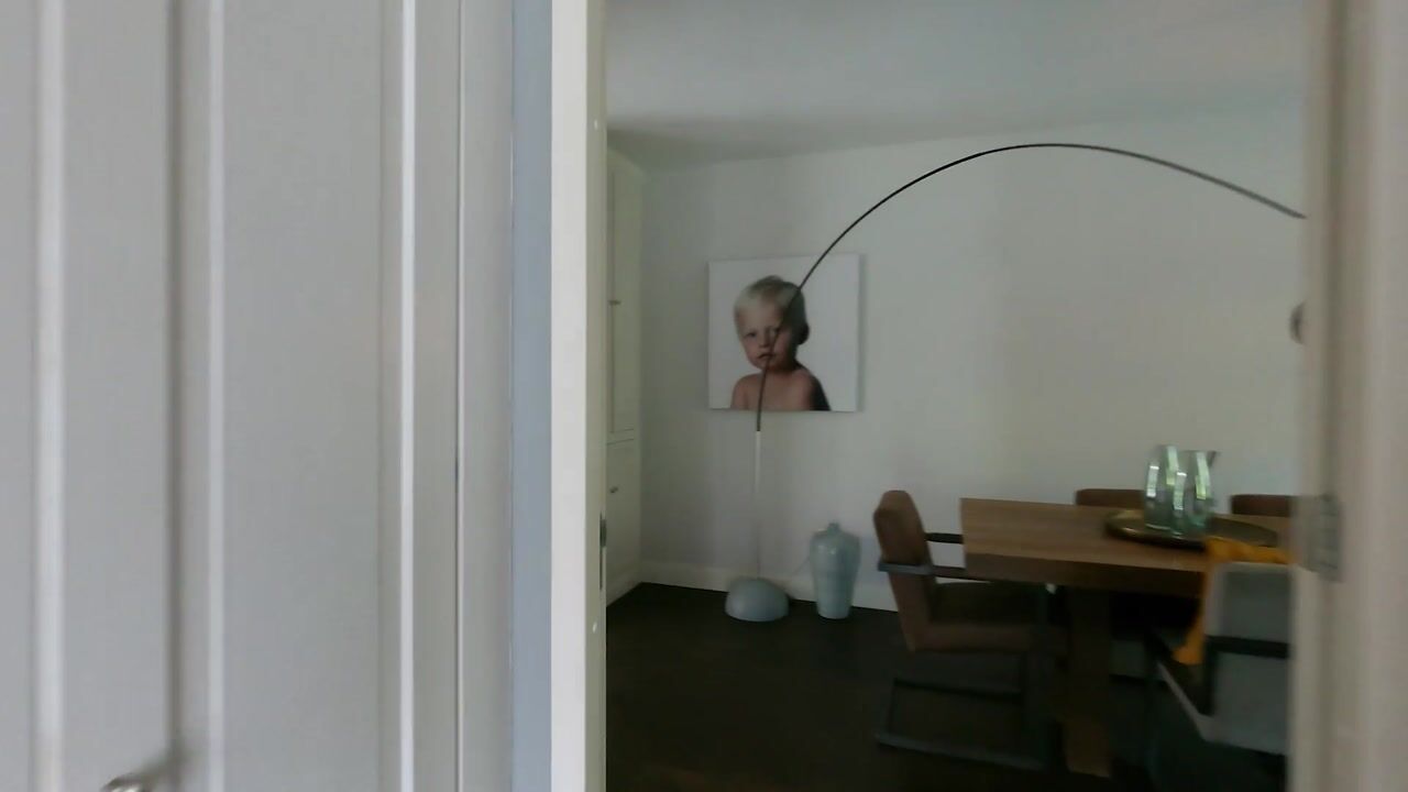 Video of Laan van 's-Gravenhout 56