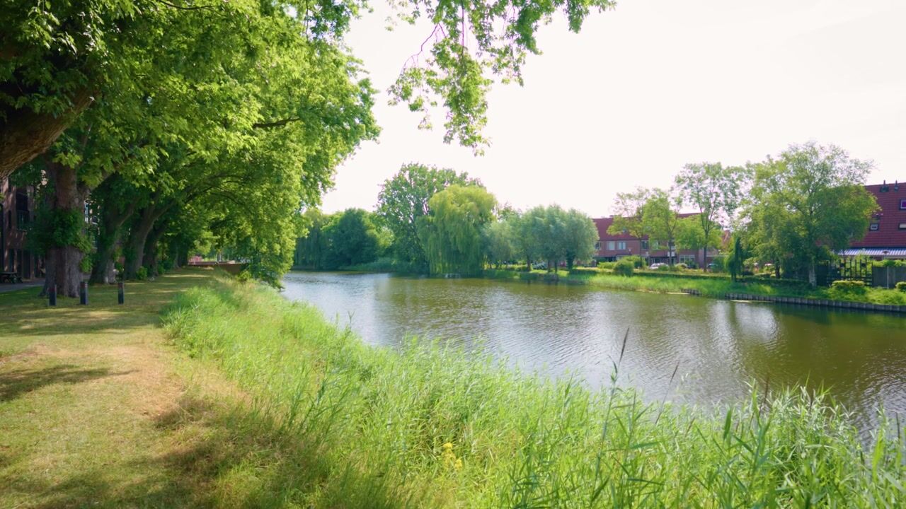 Video van Bergsingel 61