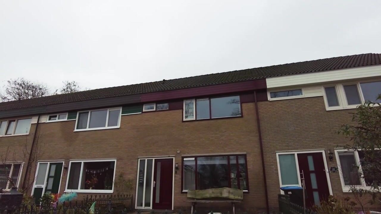 Video of Rozendael 36