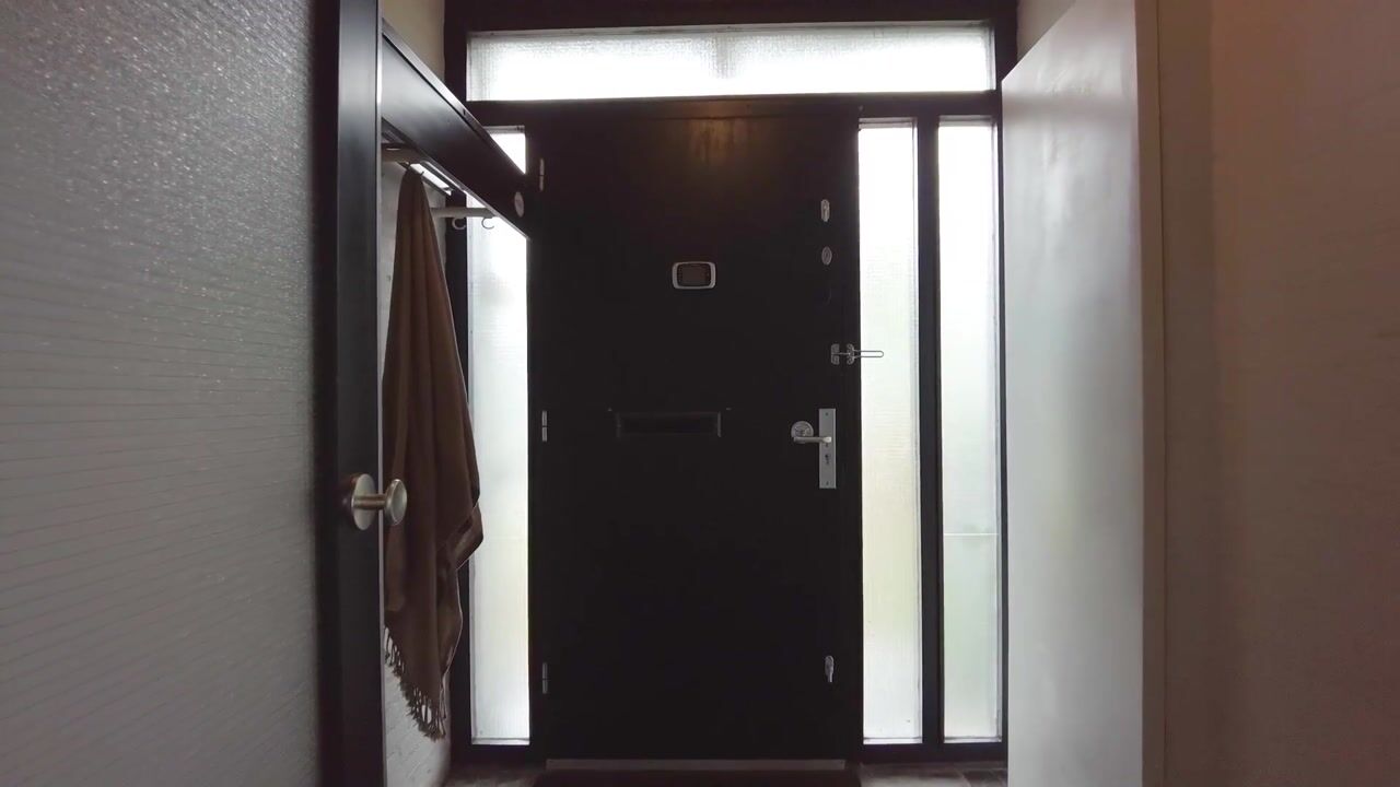 Video van Faunuslaan 7