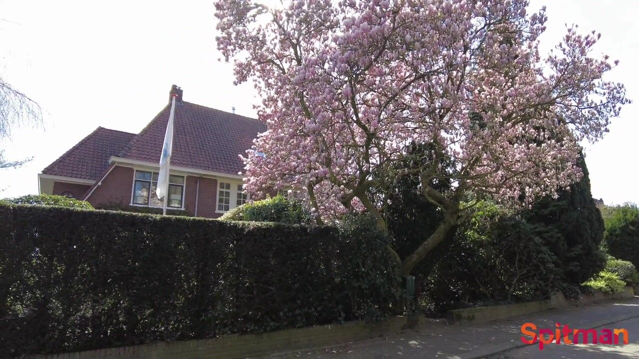 Video van Utrechtseweg 251