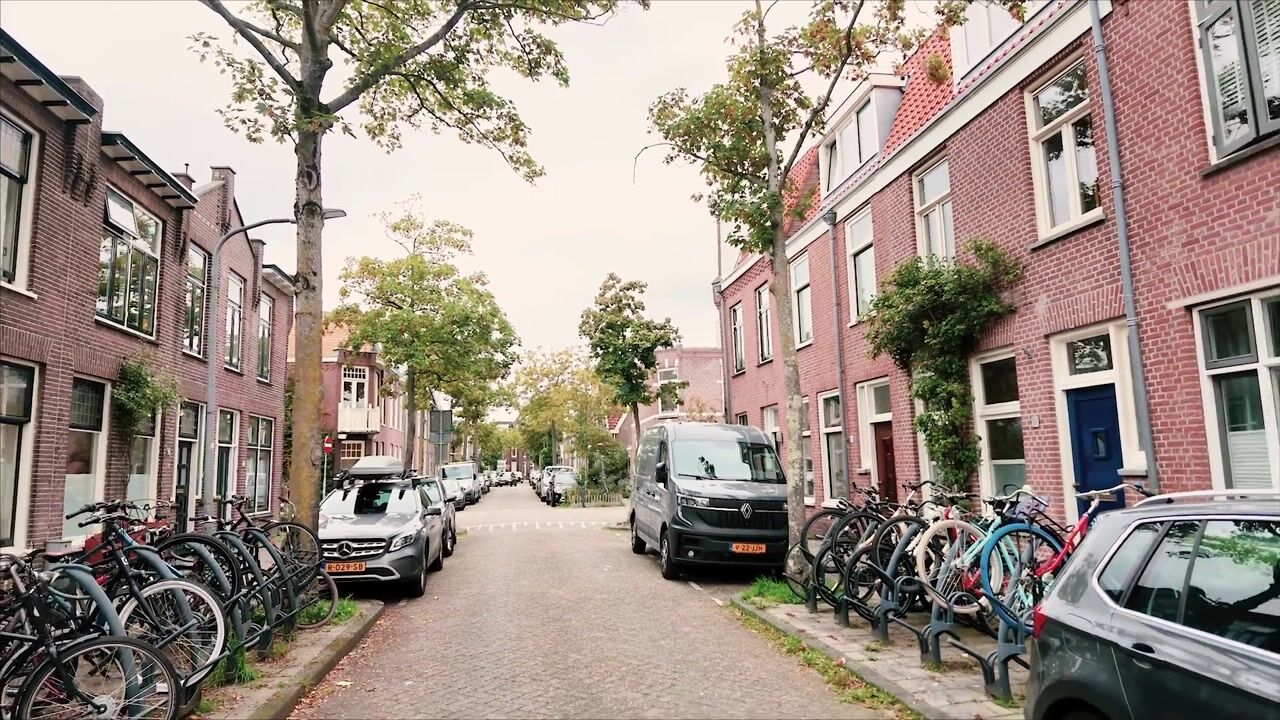 Video van Reitzstraat 101
