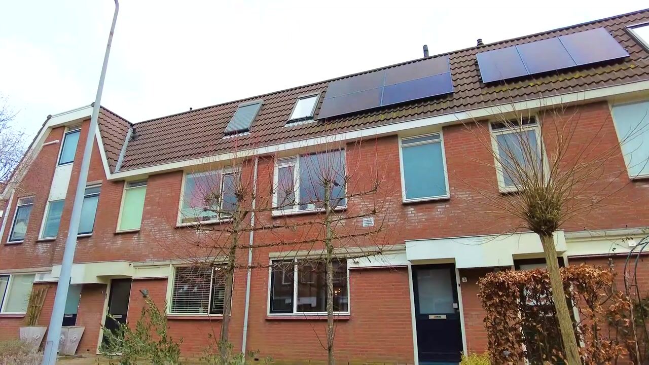 Video van Tuinfluiter 5