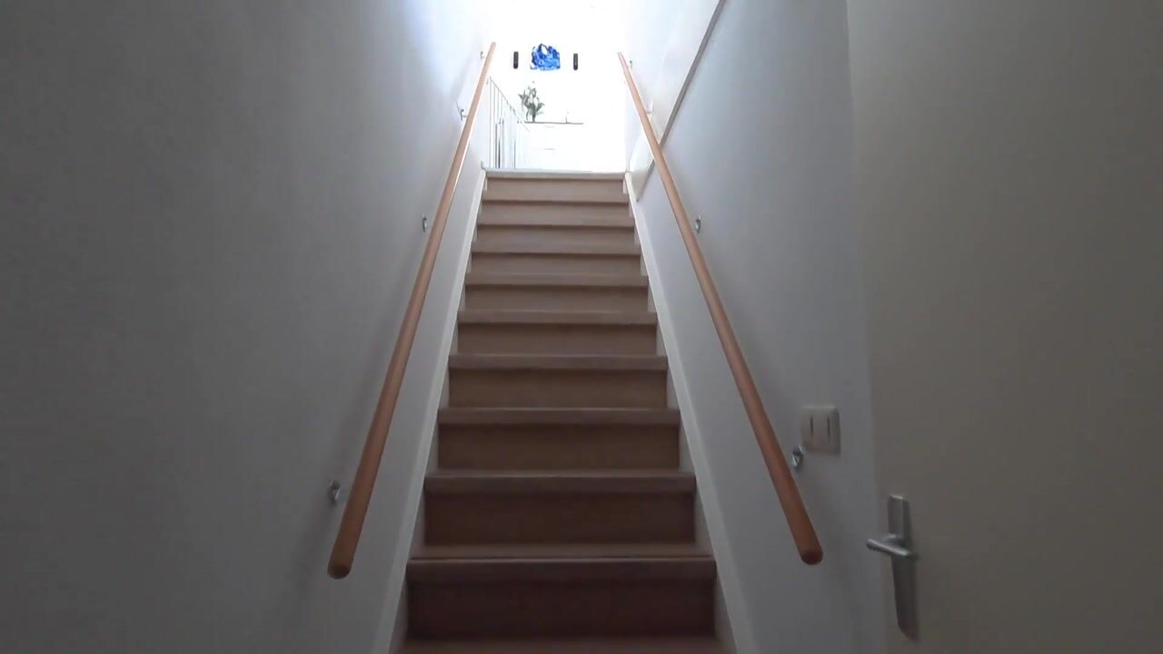 Video van Pieter Calandlaan 412