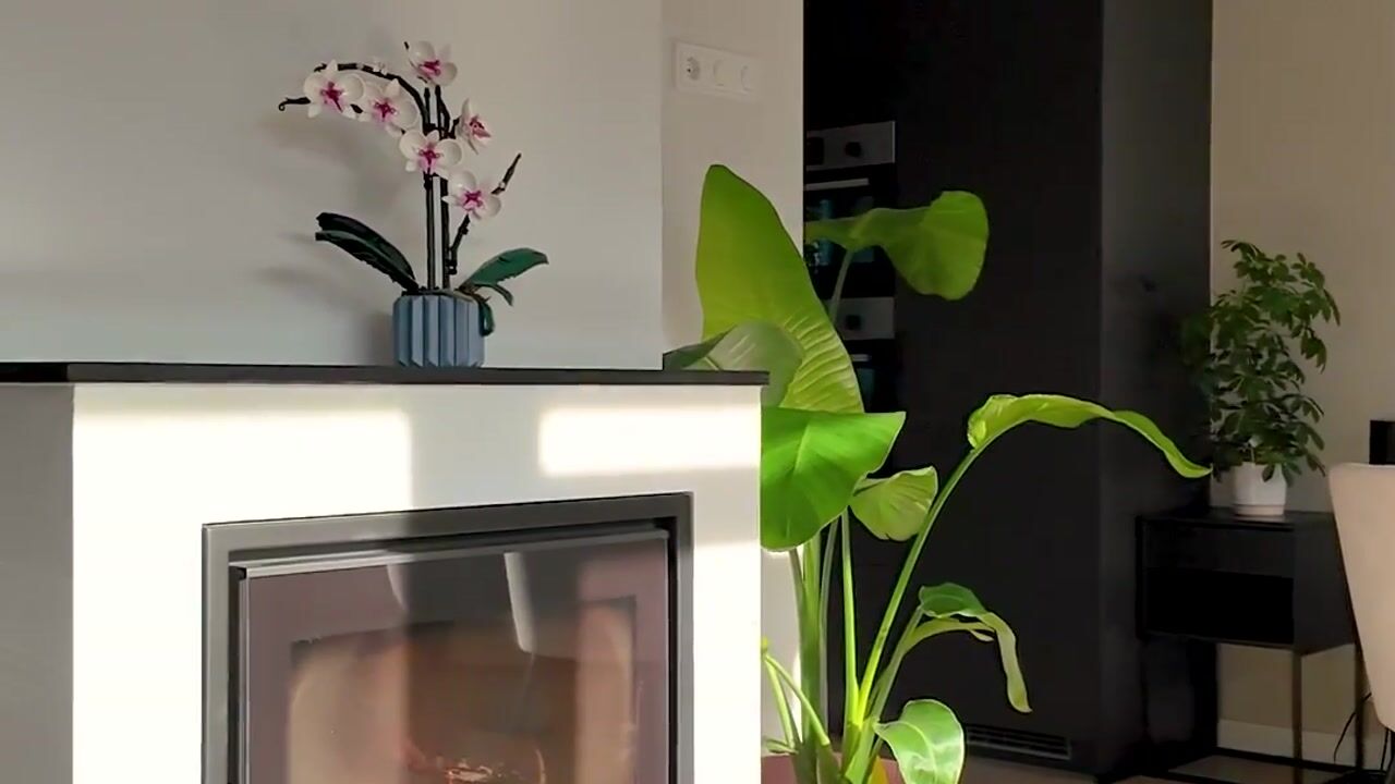 Video van Albert Cuyplaan 7