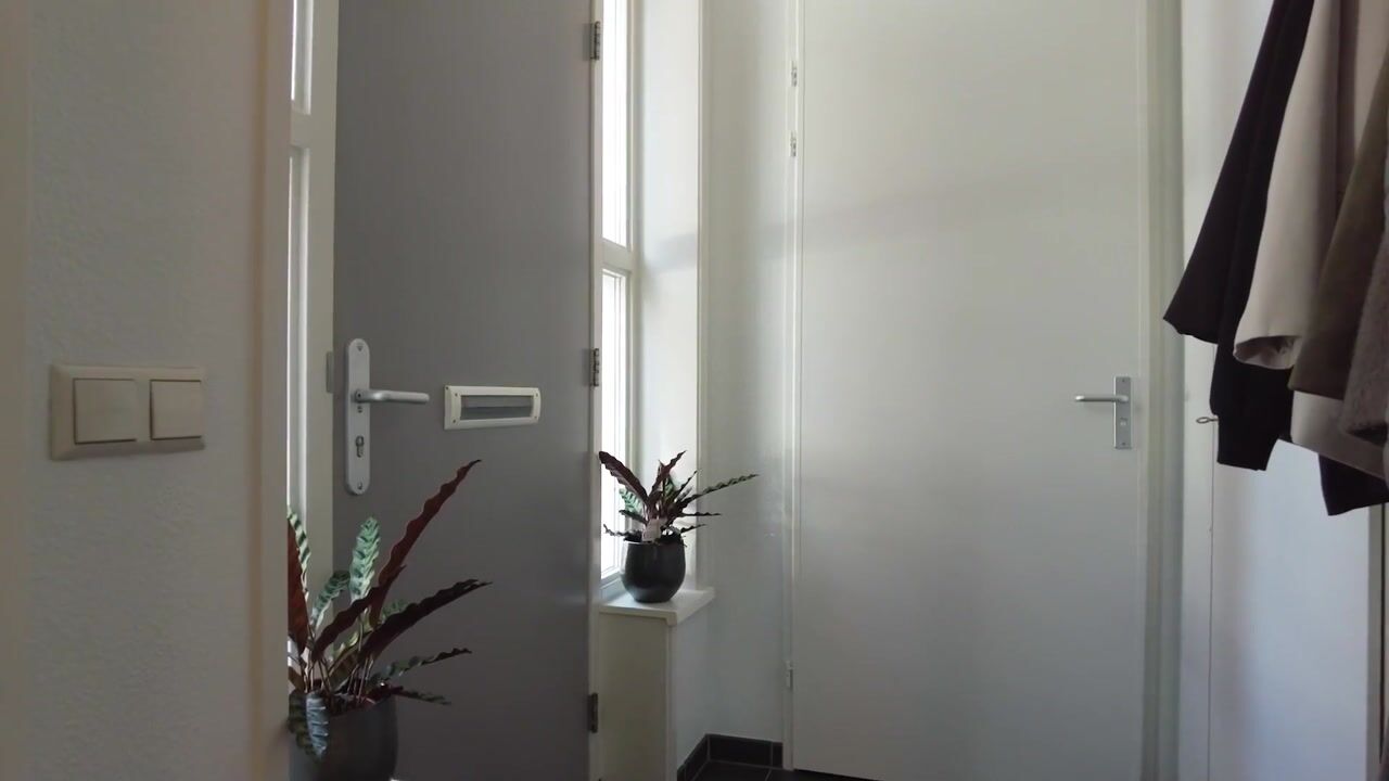 Video of Alexander de Grotestraat 22