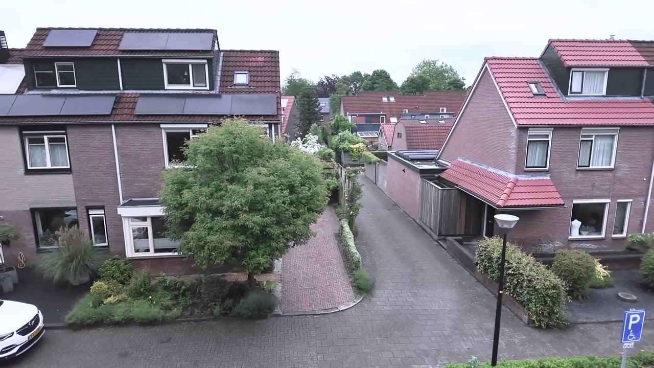 Video van Hattemse Beek 149