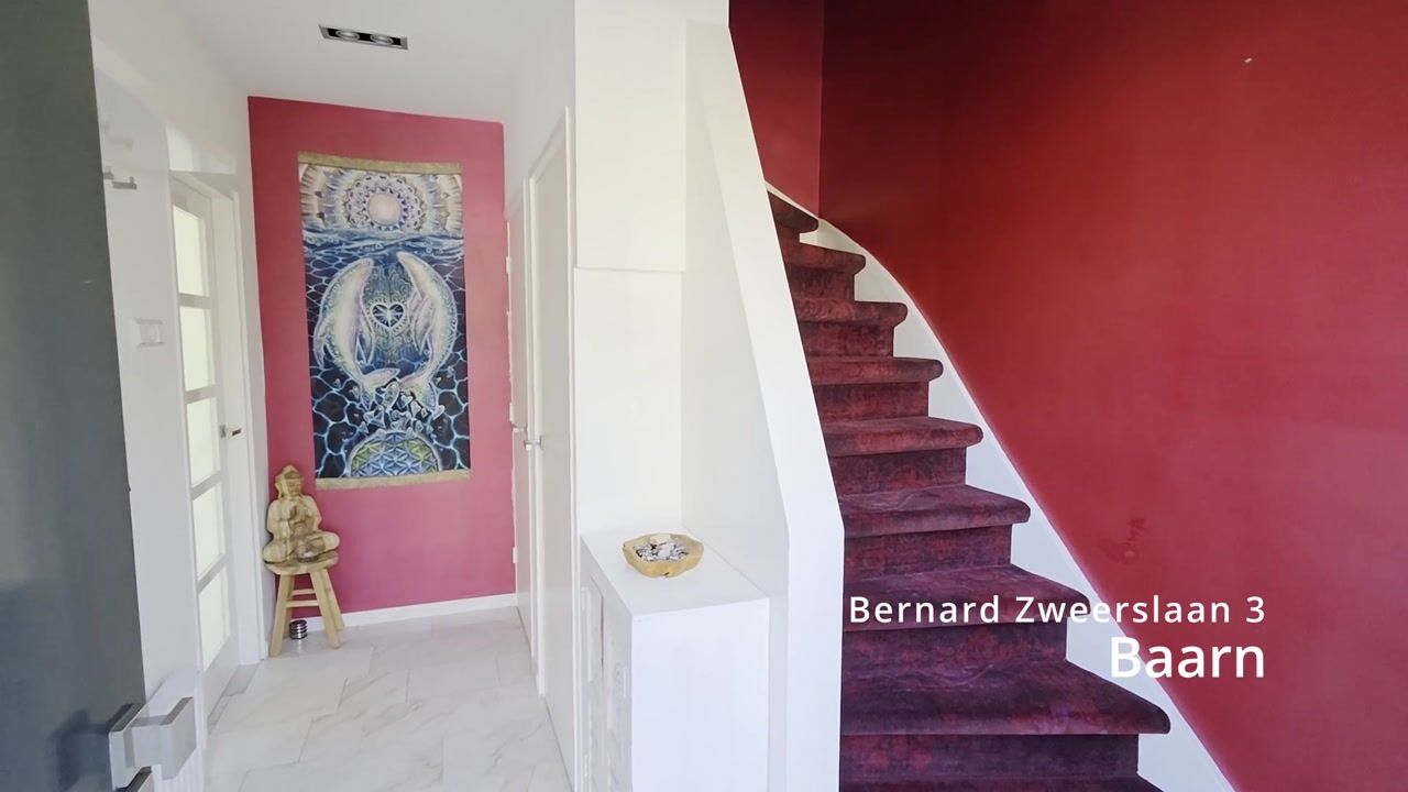 Video of Bernard Zweerslaan 3