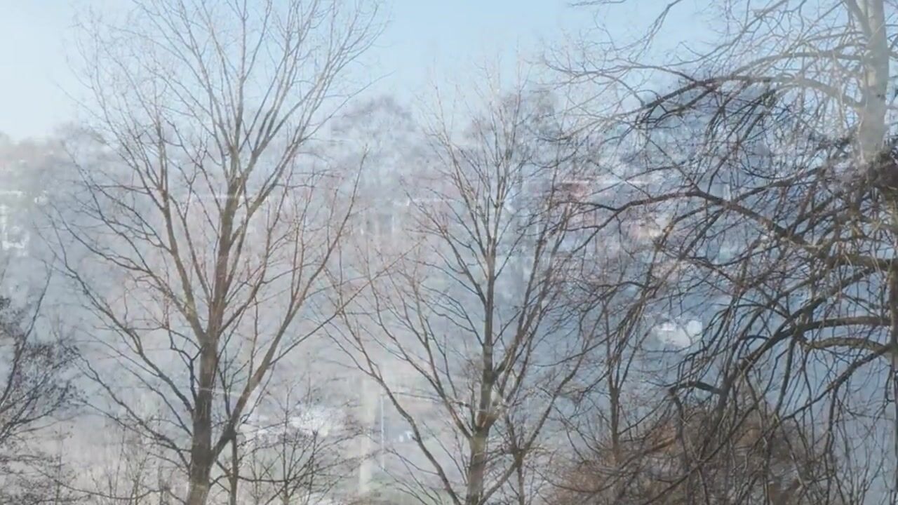 Video van Seringenplantsoen 101