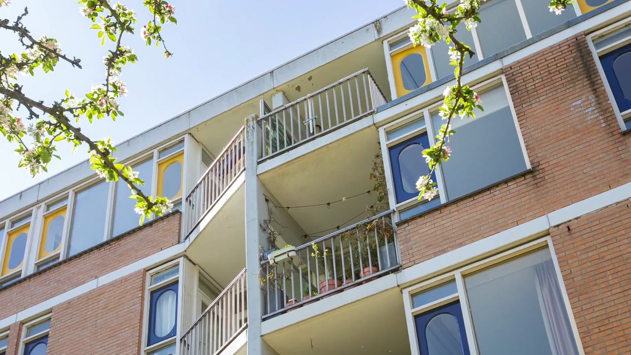 Video van Haardstee 75