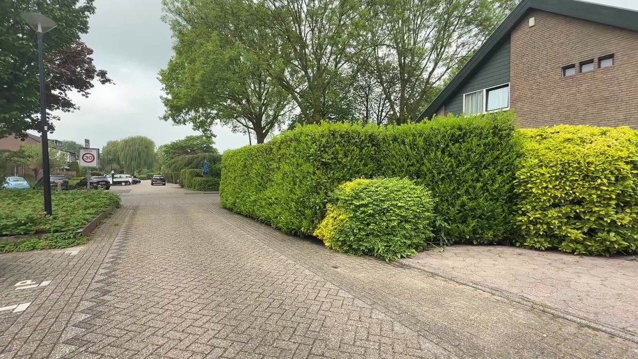 Video van Smaragd 41