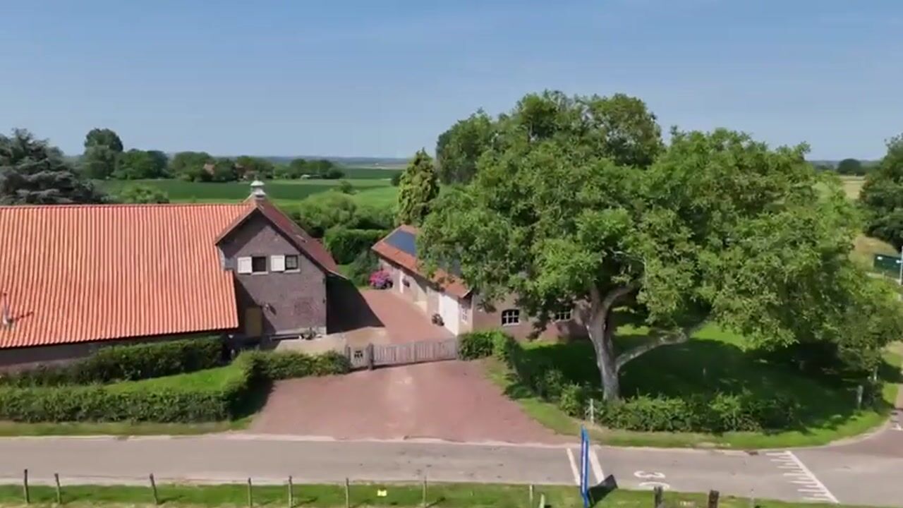 Video van Visserweert 17