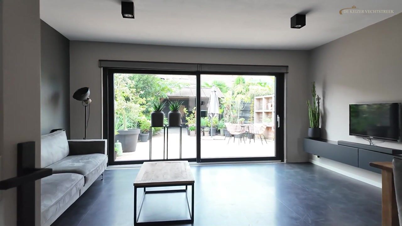 Video van Zebraspoor 543