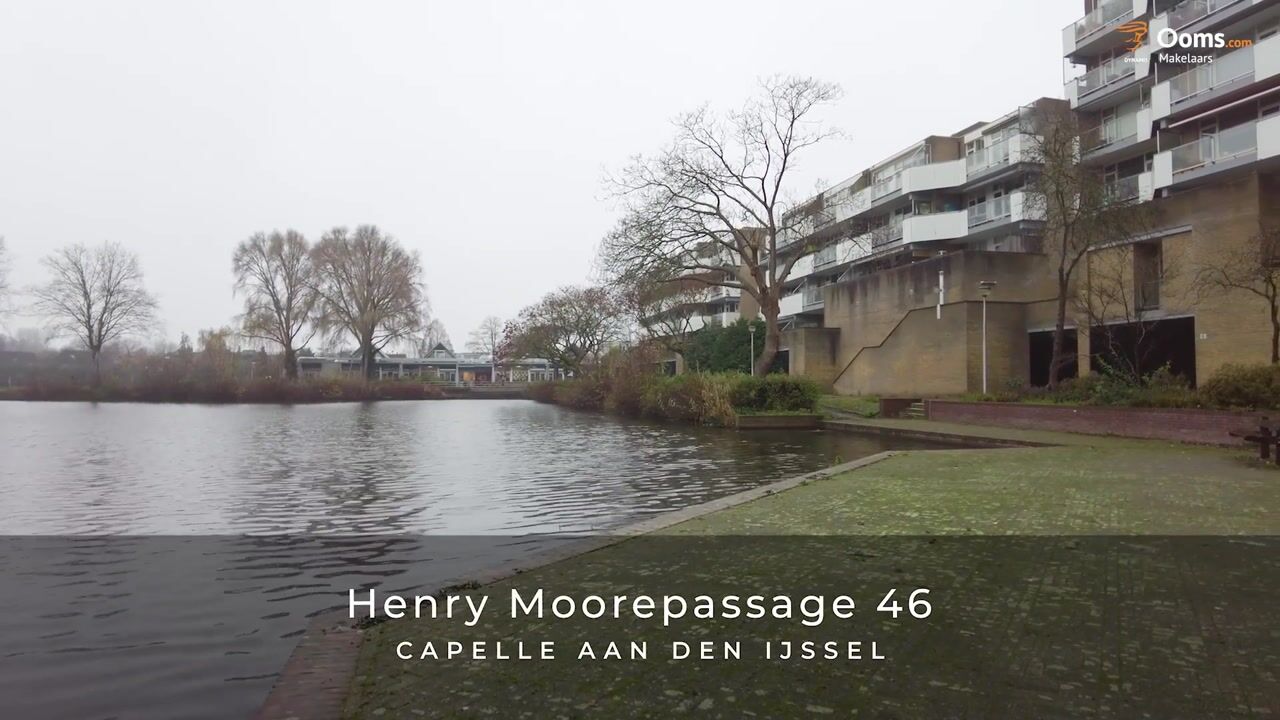 Video van Henry Moorepassage 46
