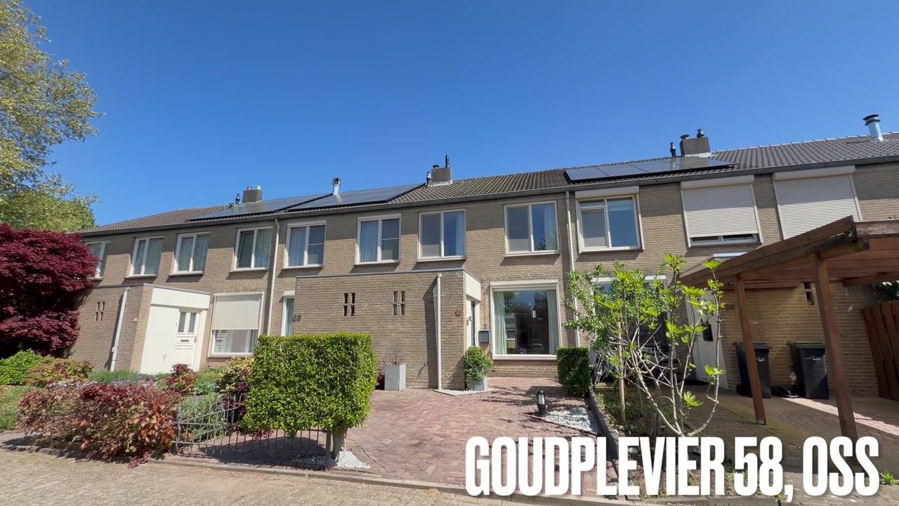 Video van Goudplevier 58