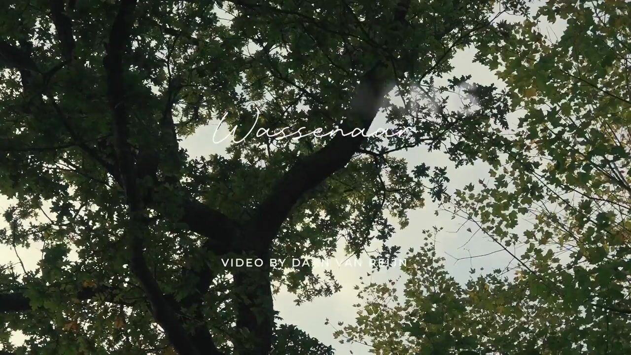 Video van Persijnlaan 6