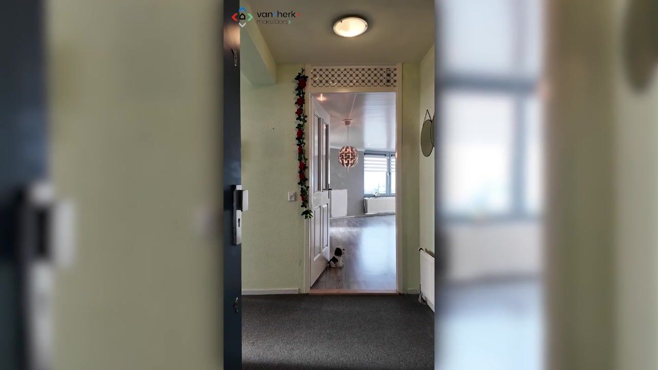 Video of Ankerplaats 35