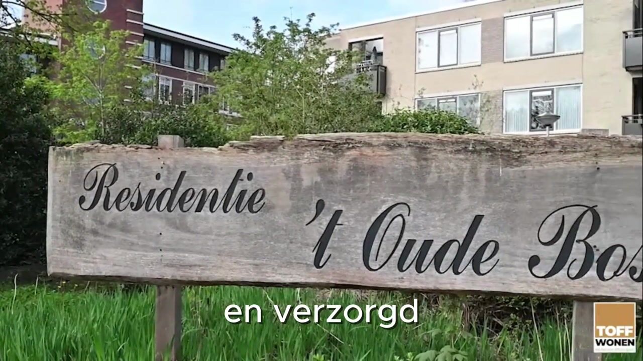 Video of Lollestraat 6-B