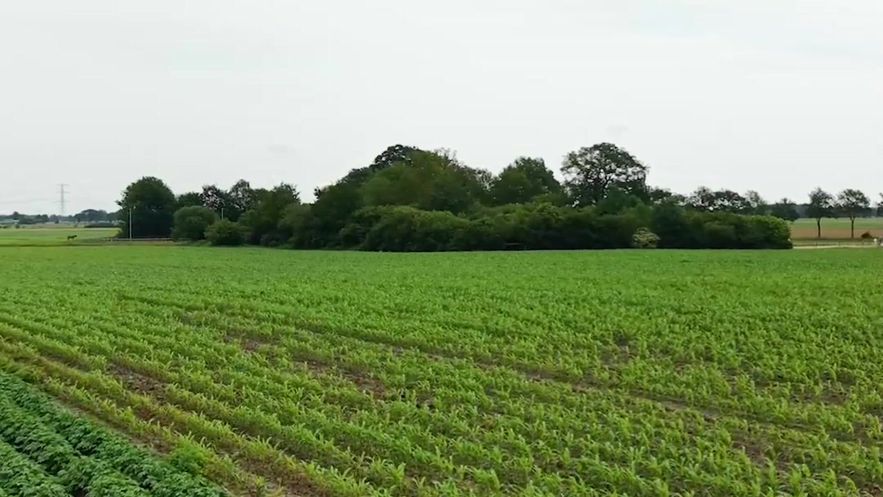 Video of Eldijk 18
