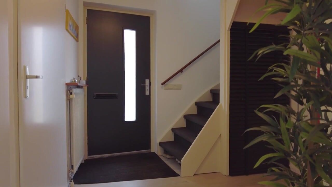 Video van Booyenhoek 22