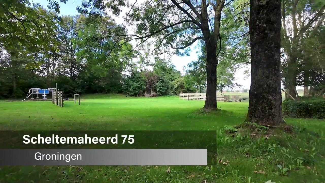 Video van Scheltemaheerd 75