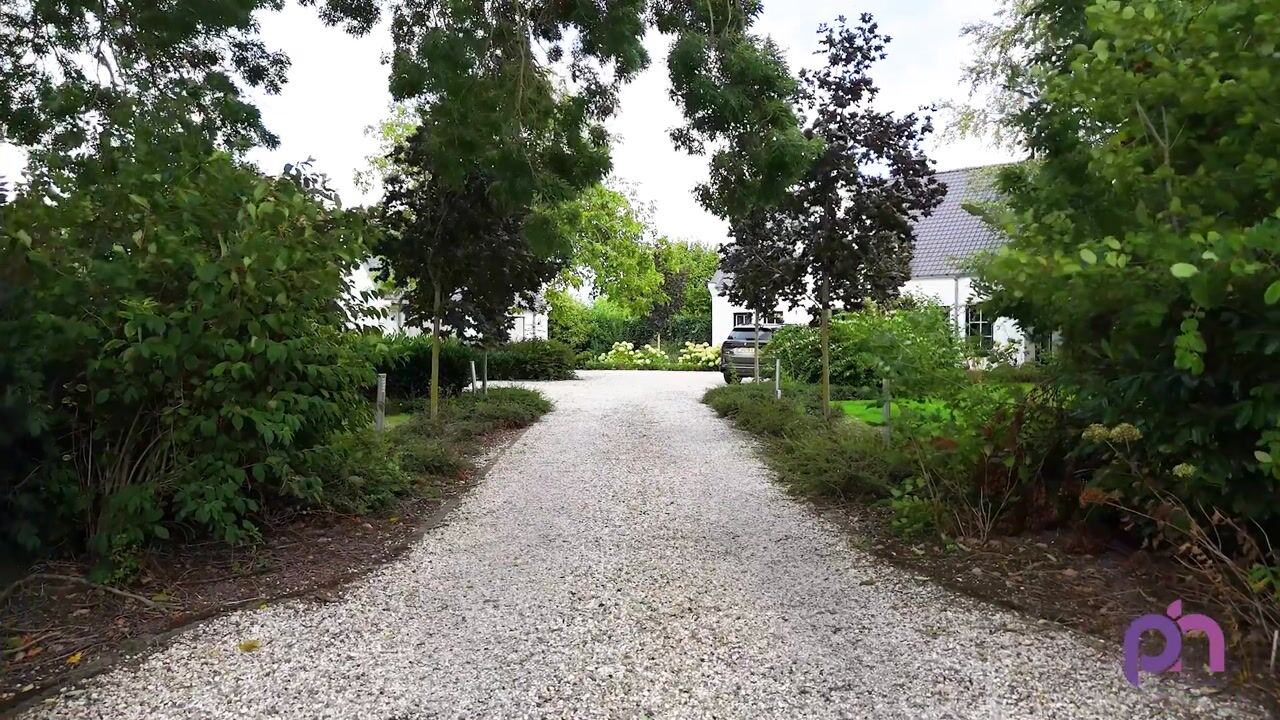 Video van Wildervangseweg 1