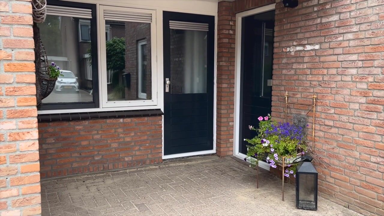 Video van Boterbloem 31