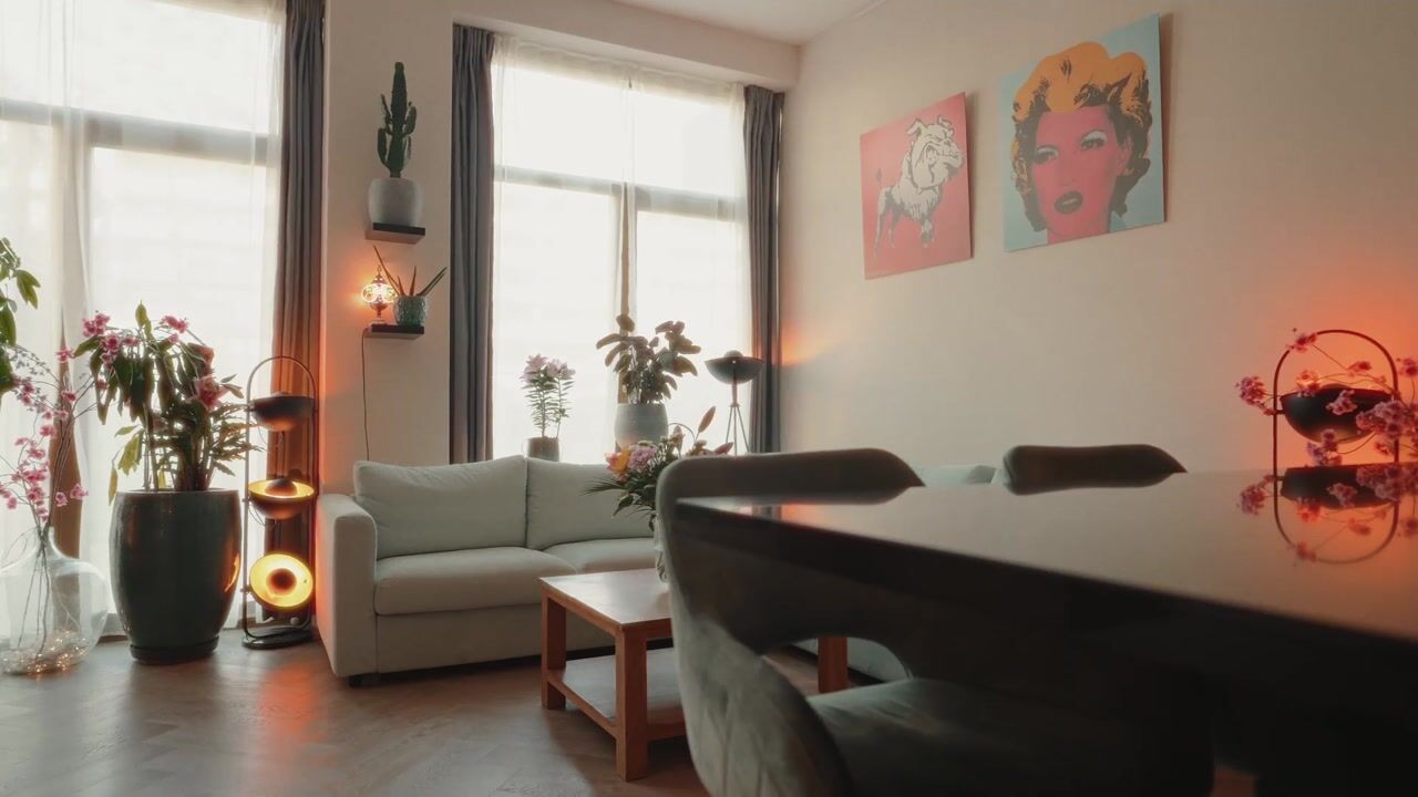 Video van Gedempte Zalmhaven 478