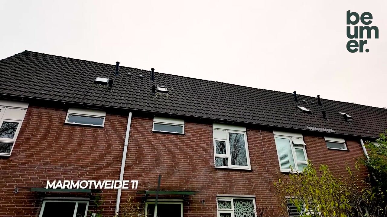 Video of Marmotweide 11