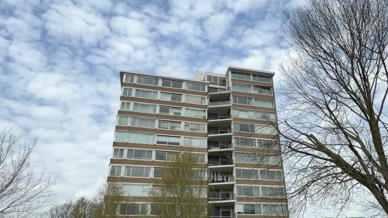 Video of Meander 1101
