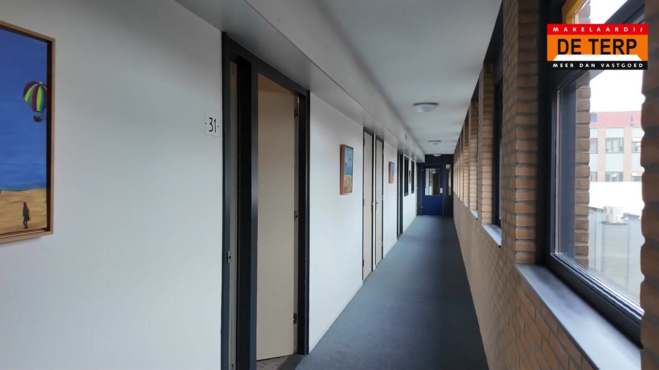 Video van Honingraat 31