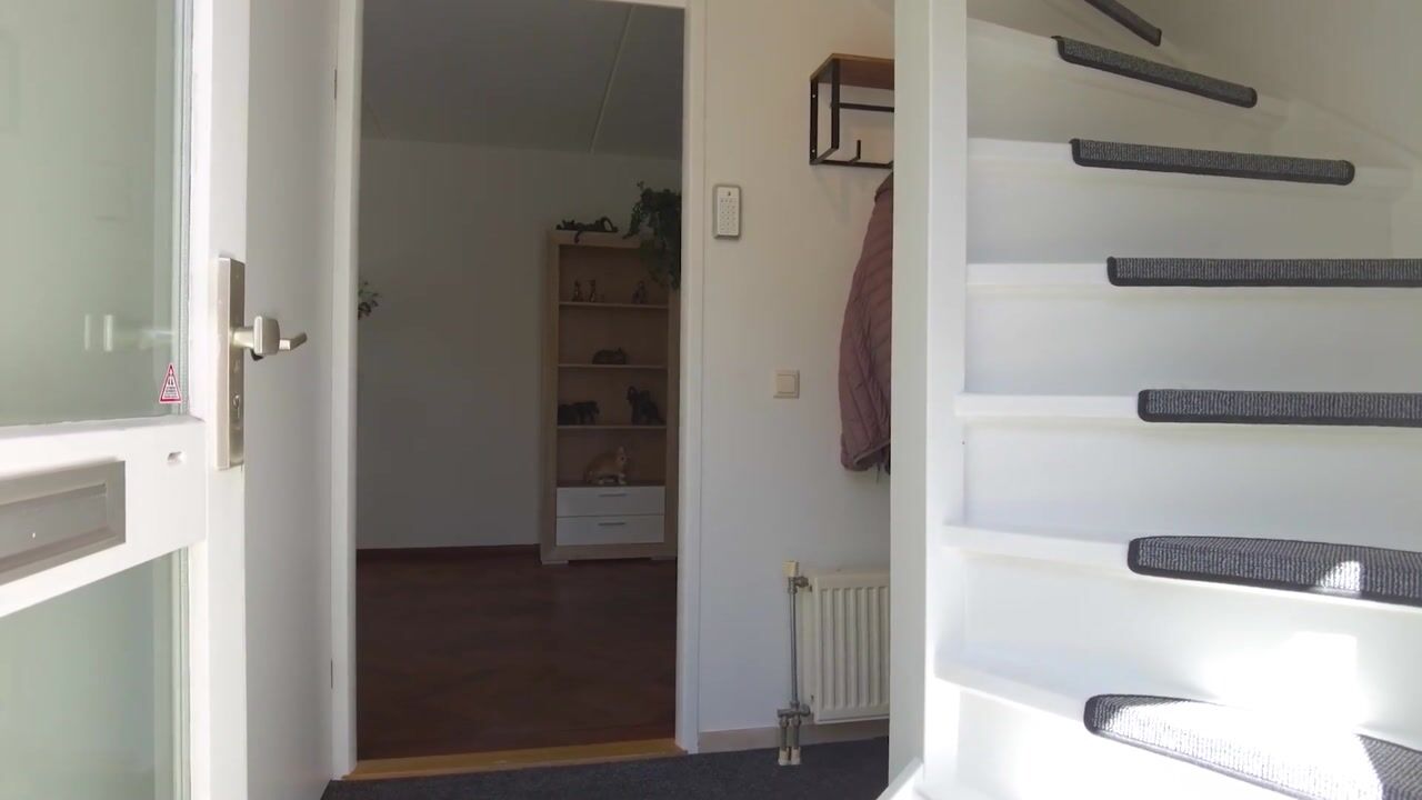 Video van Bogert 17