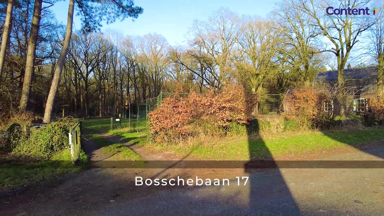 Video van Bosschebaan 17