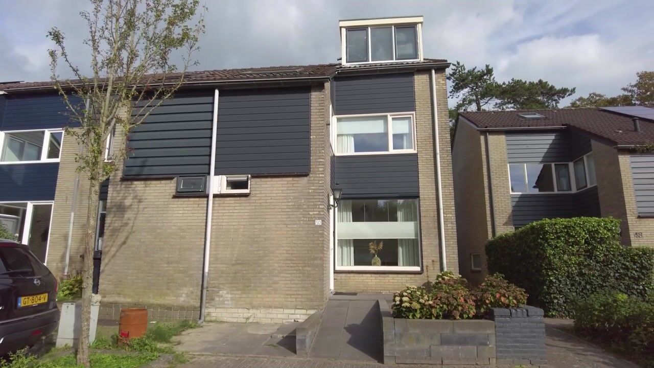 Video van Dauwnetel 50