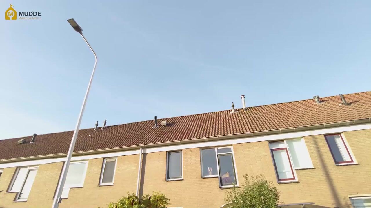 Video van Buntgras 88