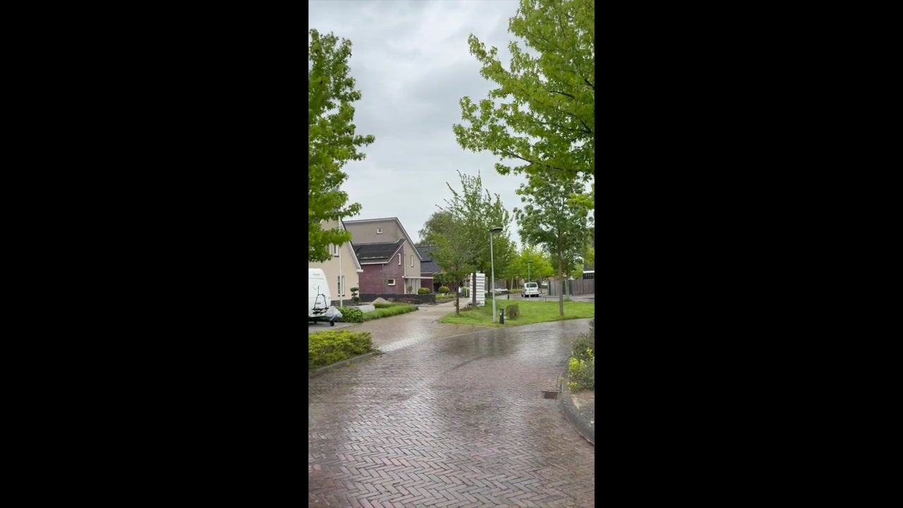 Video van Boterbloem 5