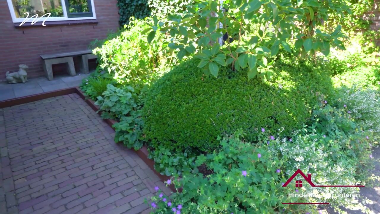 Video van Hindelaan 76