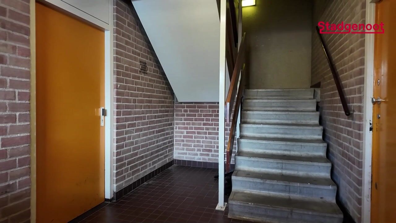 Video van Bernard Shawsingel 260