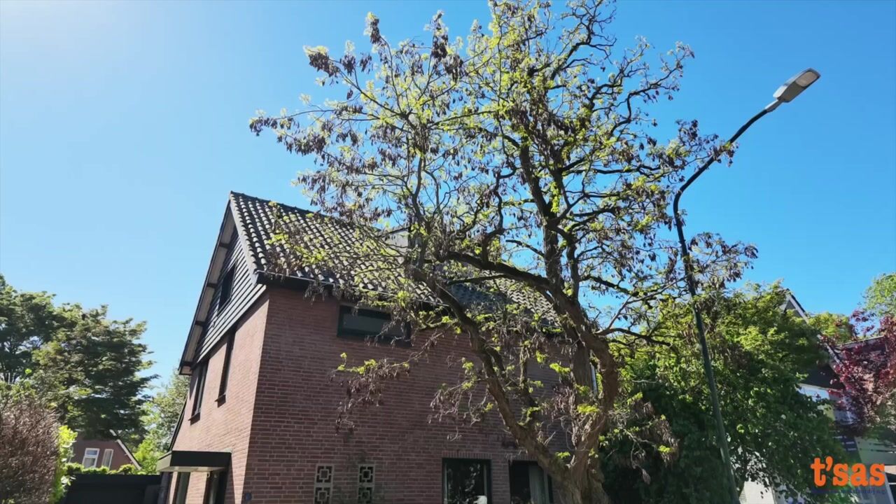 Video van De Rietzanger 6