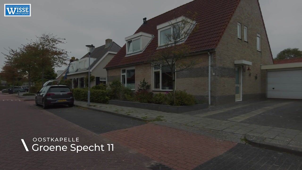 Video van Groene Specht 11