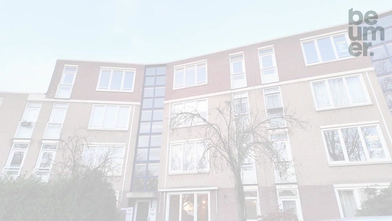 Video van Vrijhoef 26