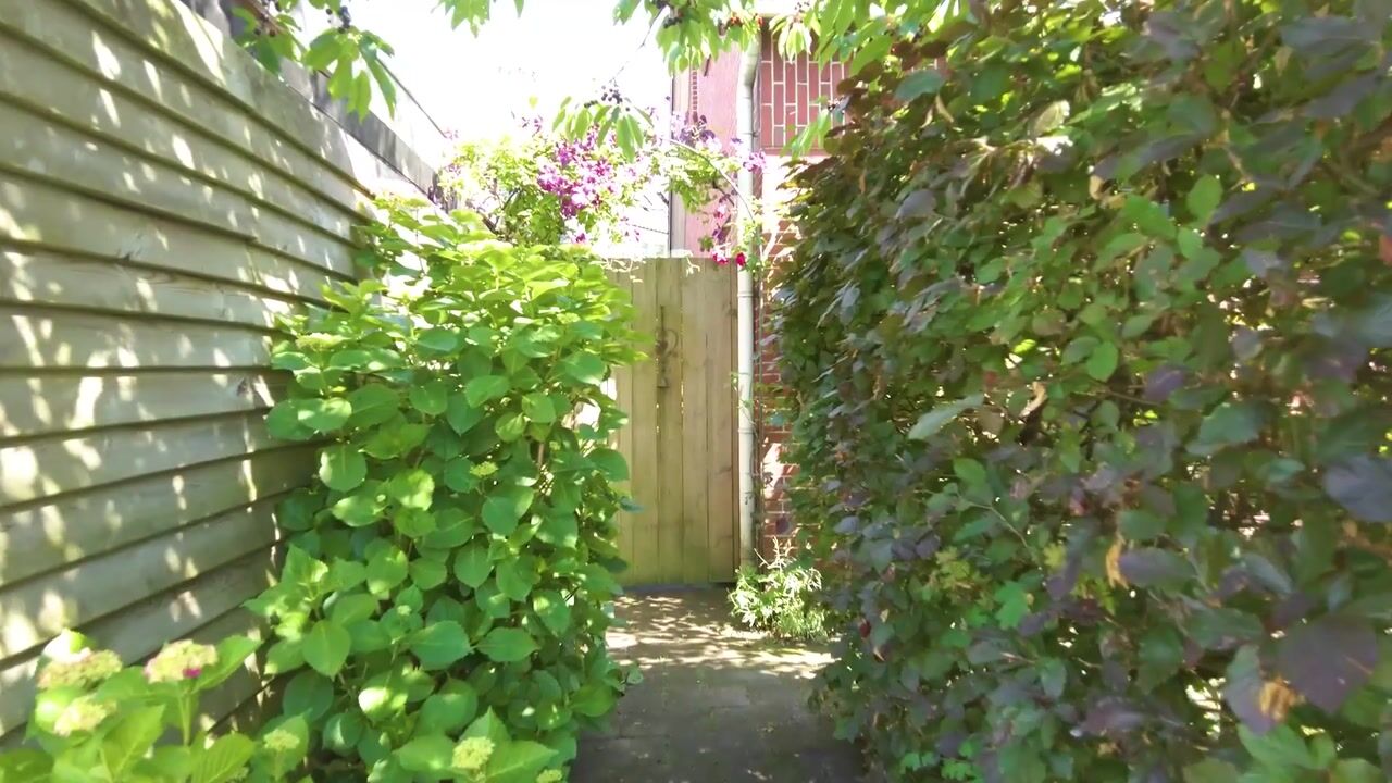 Video of Zuiderveen 2