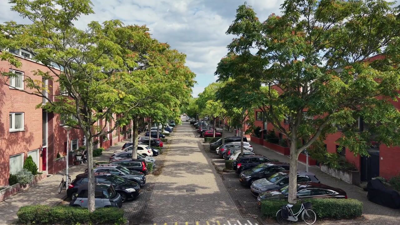 Video van Willebroekstraat 40